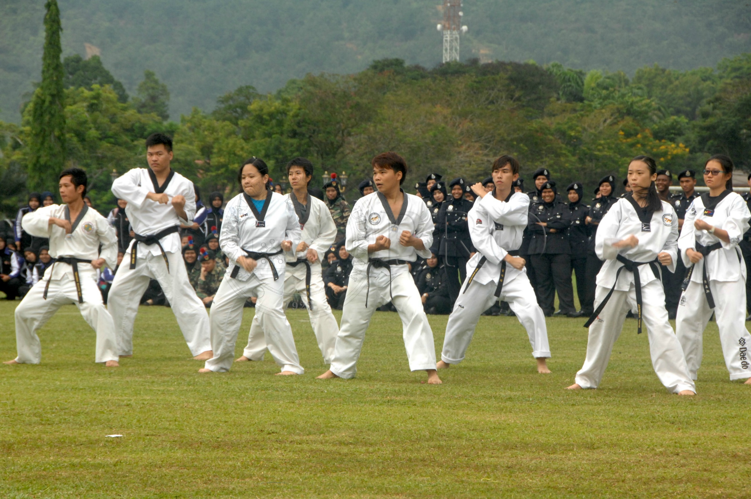 PRO 14 43 KKO IDA 0990